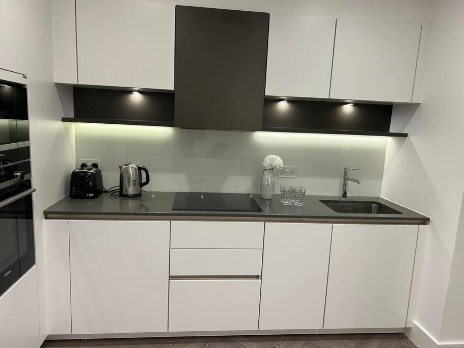 Modern 2 Bedroom Flat Near King'S Cross. London Exterior foto